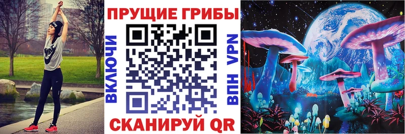 Псилоцибиновые грибы мицелий  Купить закладки  Североуральск 